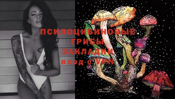 трава Верхнеуральск
