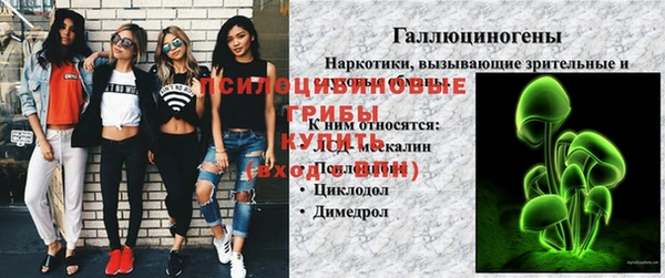 a pvp Верея