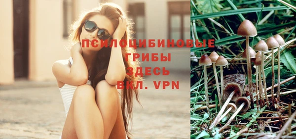 a pvp Верея