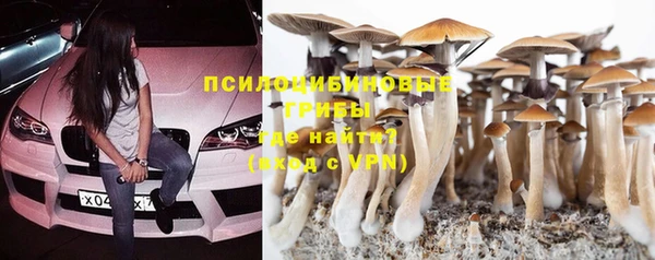 МДПВ Верхний Тагил