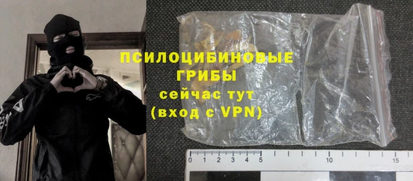 винт Рославль