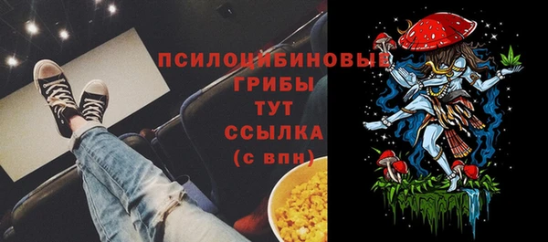 a pvp Верея